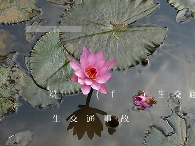 荔塱發(fā)生交通事故(荔塱發(fā)生交通事故)