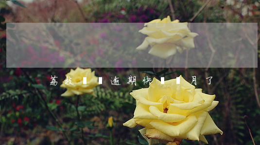 荔枝閃貸逾期快兩個月了
