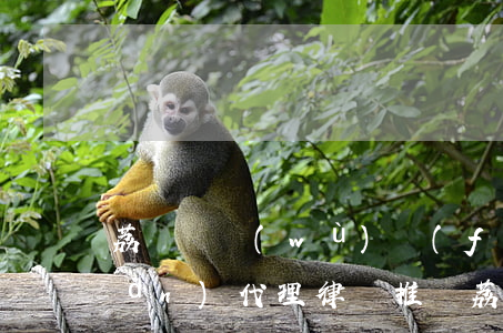 荔灣債務(wù)風(fēng)險(xiǎn)代理律師推薦(荔灣債務(wù)風(fēng)險(xiǎn)代理律師推薦)