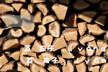 荔灣孩子撫養(yǎng)糾紛律師哪家好(荔灣孩子撫養(yǎng)糾紛律師哪家好)