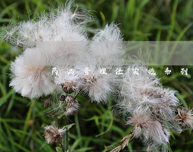 药品管理法实施条列