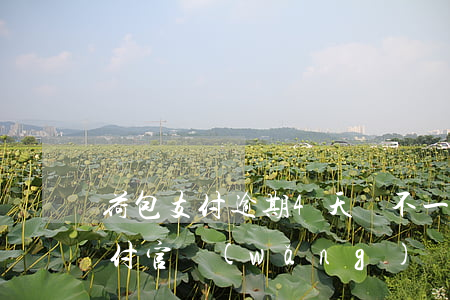 荷包支付逾期4天會不一樣上征信-荷包支付官網(wǎng)