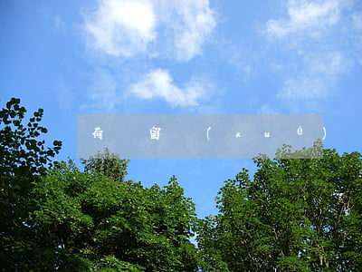 荷蘭留學(xué)簽證