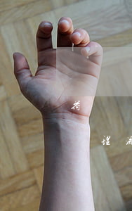 荷蘭簽證申請(qǐng)表(荷蘭工作簽證辦理流程)