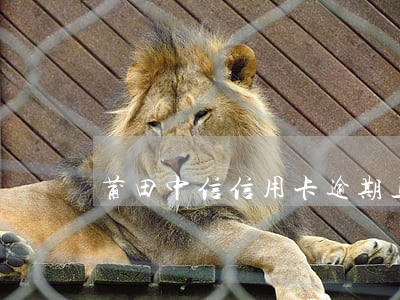 莆田中信信用卡逾期上門取證