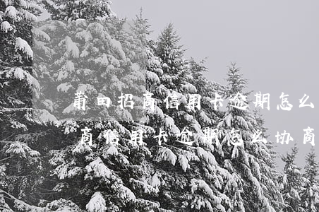 莆田招商信用卡逾期怎么协商分期-莆田招商信用卡逾期怎么协商分期还款