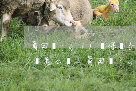 莆田醫(yī)療保險企業(yè)逾期繳費怎么辦-莆田醫(yī)療保險企業(yè)逾期繳費怎么辦理