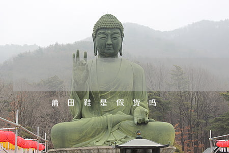 莆田鞋是假货吗