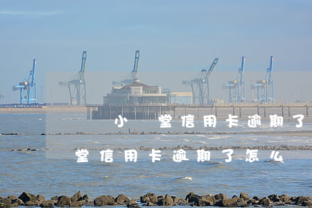 莊園小課堂信用卡逾期了怎么辦-莊園小課堂信用卡逾期了怎么辦理