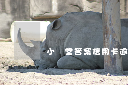 莊園小課堂答案信用卡逾期