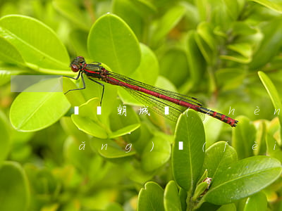 莒縣朝城鎮(zhèn)離婚孩子撫養(yǎng)費(fèi)標(biāo)準(zhǔn)(莒縣朝城鎮(zhèn)離婚孩子撫養(yǎng)費(fèi)標(biāo)準(zhǔn))