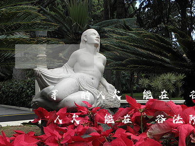 莘縣的人欠錢能在陽谷法院起訴嗎-莘縣的人欠錢能在陽谷法院起訴嗎