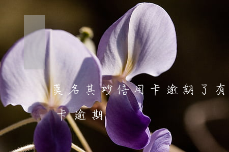 莫名其妙信用卡逾期了 有一個(gè)信用卡逾期