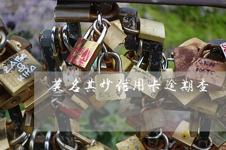 莫名其妙信用卡逾期查詢