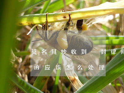 莫名其妙收到一封律师函(突然收到一份律师函应该怎么处理)