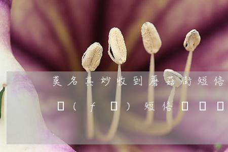 莫名其妙收到蘑菇街短信說我逾期-蘑菇街發(fā)短信過來說有欠款可是我都沒買過東西