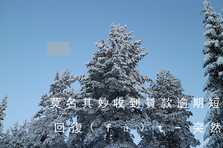 莫名其妙收到貸款逾期短信回復(fù)y 回復(fù)t-突然收到貸款逾期短信