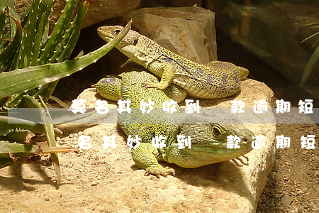莫名其妙收到貸款逾期短信說我有貸款-莫名其妙收到貸款逾期短信說我有貸款記錄