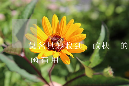 莫名其妙收到郵政快遞的律師函(郵寄的律師函有用嗎)