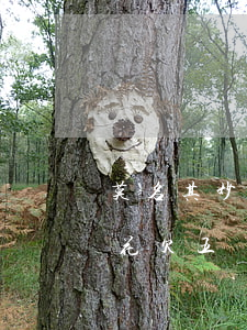 莫名其妙欠了唯品花的錢(qián)(唯品花欠五萬(wàn))