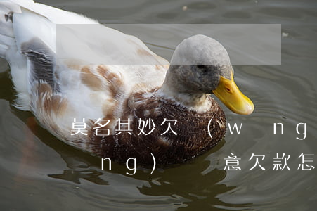 莫名其妙欠網(wǎng)貸怎么辦(網(wǎng)貸惡意欠款怎么處理)