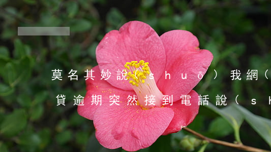 莫名其妙說(shuō)我網(wǎng)貸逾期(突然接到電話說(shuō)我網(wǎng)貸逾期了)