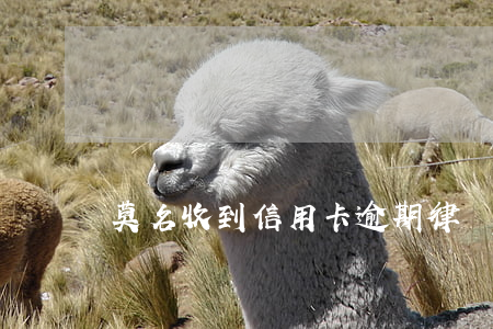 莫名收到信用卡逾期律師函