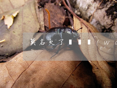 莫名欠了幾萬網(wǎng)貸怎么辦