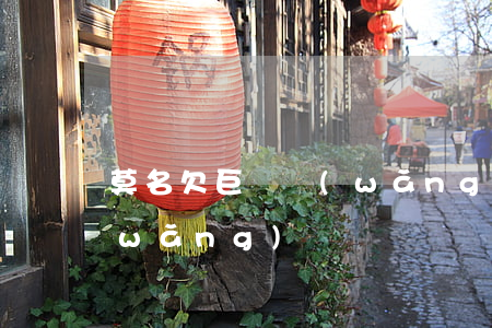 莫名欠巨額網(wǎng)貸(欠下巨額網(wǎng)貸)