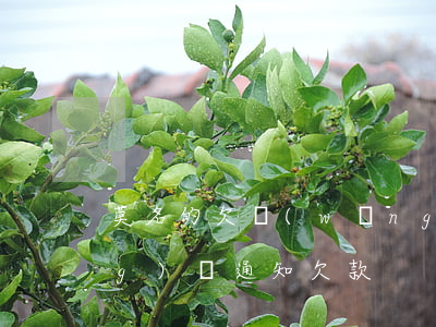 莫名的欠網(wǎng)貸(莫名網(wǎng)貸通知欠款)