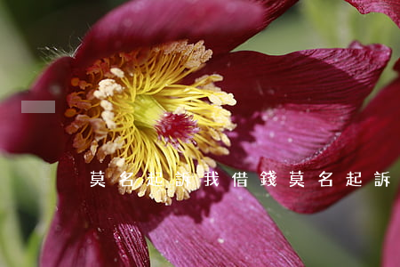 莫名起訴我借錢(莫名起訴我借錢)