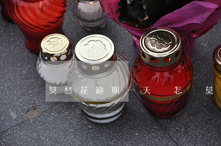 莫愁花逾期一天會怎樣 莫愁花逾期一天會怎樣