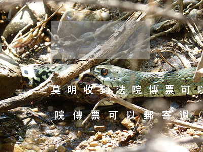 莫明收到法院傳票可以拆開(kāi)嗎(法院傳票可以郵寄過(guò)來(lái)嗎)