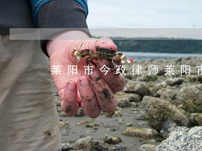 莱阳市今政律师(莱阳市哪个律师厉害)