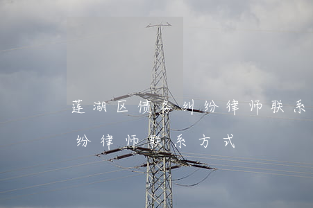 莲湖区债务纠纷律师联系方式 莲湖区债务纠纷律师联系方式