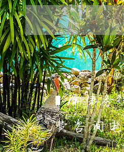 菏泽债务律师事务所(山东菏泽律师事务所免费咨询电话)