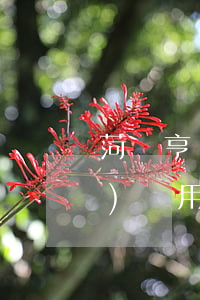 菏澤亨達(dá)經(jīng)濟(jì)適用房(菏澤經(jīng)濟(jì)適用房買賣政策)