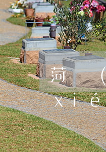 菏澤協(xié)和醫(yī)院(菏澤協(xié)和醫(yī)院是正規(guī)的嗎)