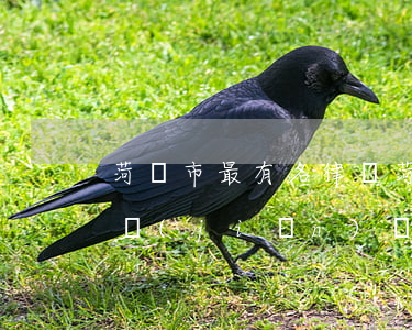 菏澤市最有名律師(菏澤市最有名律師王逸清簡(jiǎn)歷)