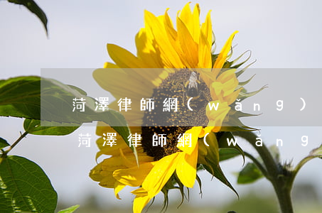 菏澤律師網(wǎng)官網(wǎng)(菏澤律師網(wǎng)官網(wǎng))
