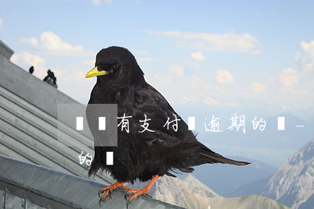 菏澤有支付寶逾期的嗎-菏澤有支付寶逾期的嗎