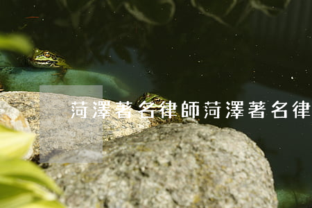 菏澤著名律師(菏澤著名律師侯永賓)