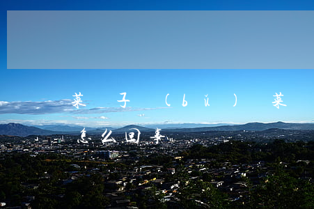 菜籃子補(bǔ)貼(菜籃子補(bǔ)貼是怎么回事)