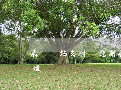 菜鳥驛站支付寶逾期(菜鳥驛站投訴超時未處理)
