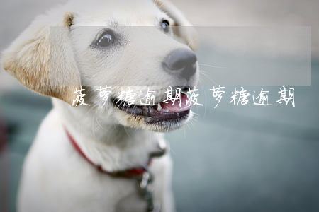 菠萝糖逾期(菠萝糖逾期)