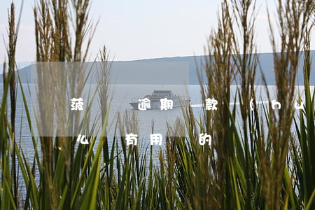 菠蘿貸逾期還款會(huì)怎樣(菠蘿貸怎么樣有用過的嗎)
