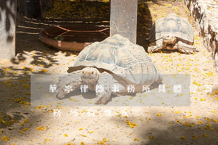 華亭律師事務所具體位置在哪里(安亭律師事務所有幾家)
