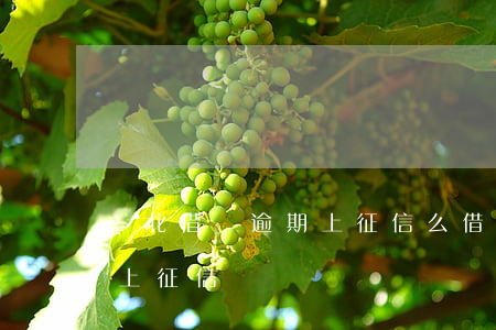 華北借唄逾期上征信么(借唄正常使用不逾期上征信嗎)