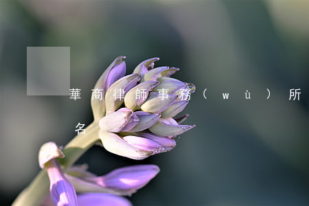 華商律師事務(wù)所全國(guó)排名