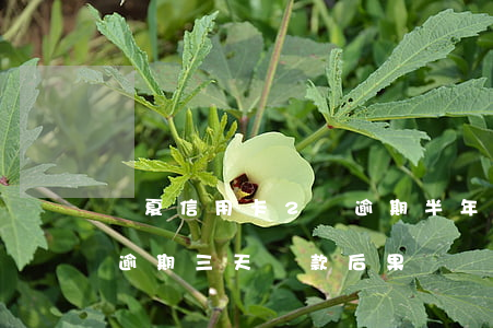 華夏信用卡2萬逾期半年多（華夏銀行信用卡逾期三天還款后果）